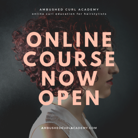 online course for hairstylists now open